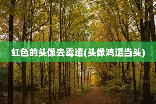 红色的头像去霉运(头像鸿运当头)