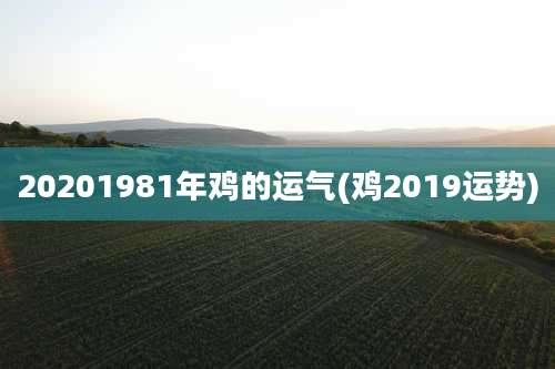 20201981年鸡的运气(鸡2019运势)
