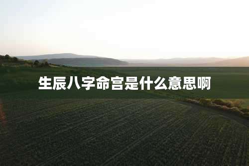 生辰八字命宫是什么意思啊