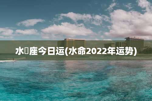 水硑座今日运(水命2022年运势)