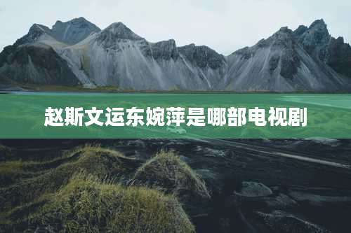 赵斯文运东婉萍是哪部电视剧