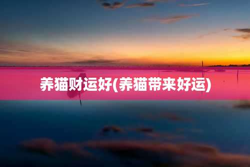 养猫财运好(养猫带来好运)