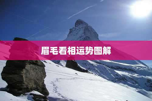 眉毛看相运势图解