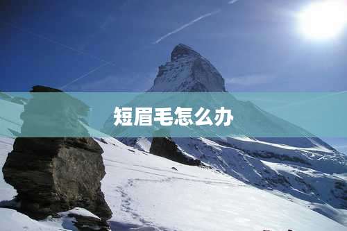 短眉毛怎么办