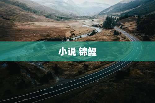 小说 锦鲤