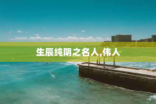 生辰纯阴之名人,伟人