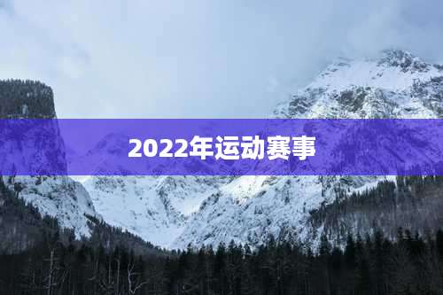 2022年运动赛事