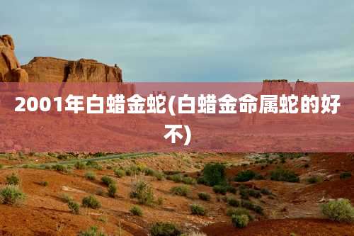 2001年白蜡金蛇(白蜡金命属蛇的好不)