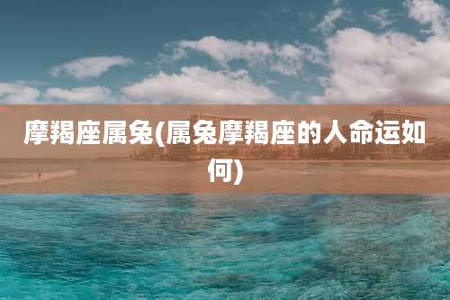 摩羯座属兔(属兔摩羯座的人命运如何)