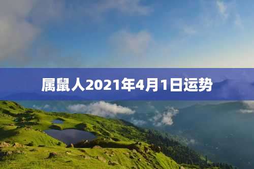 属鼠人2021年4月1日运势