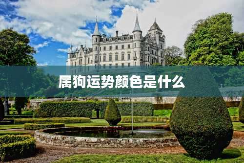 属狗运势颜色是什么