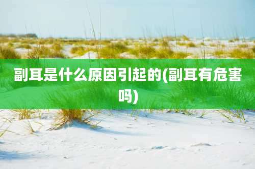 副耳是什么原因引起的(副耳有危害吗)