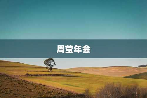 周莹年会