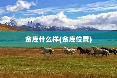 金库什么样(金库位置)