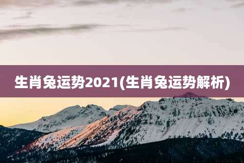 生肖兔运势2021(生肖兔运势解析)