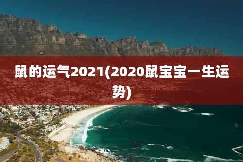 鼠的运气2021(2020鼠宝宝一生运势)