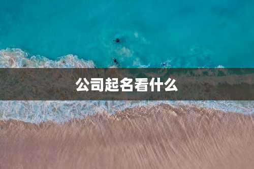 公司起名看什么