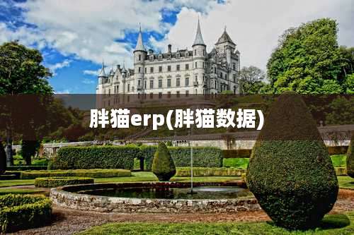胖猫erp(胖猫数据)