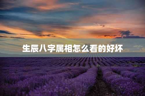生辰八字属相怎么看的好坏