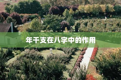 年干支在八字中的作用