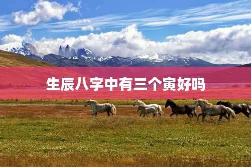 生辰八字中有三个寅好吗
