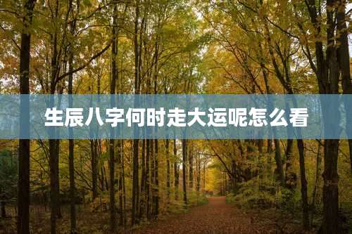生辰八字何时走大运呢怎么看
