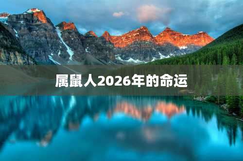 属鼠人2026年的命运