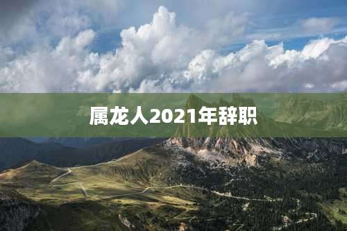 属龙人2021年辞职
