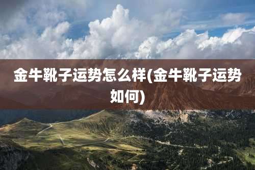 金牛靴子运势怎么样(金牛靴子运势如何)