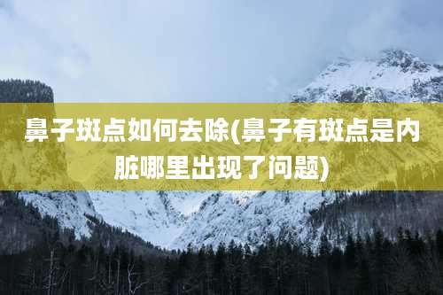 鼻子斑点如何去除(鼻子有斑点是内脏哪里出现了问题)