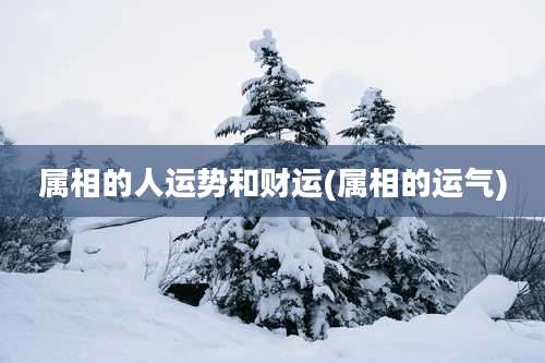 属相的人运势和财运(属相的运气)
