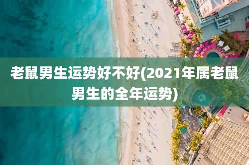老鼠男生运势好不好(2021年属老鼠男生的全年运势)
