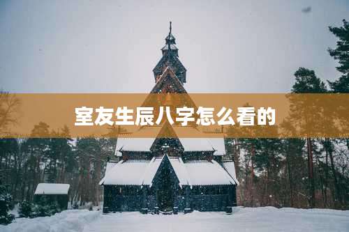 室友生辰八字怎么看的