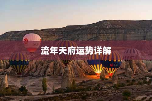 流年天府运势详解