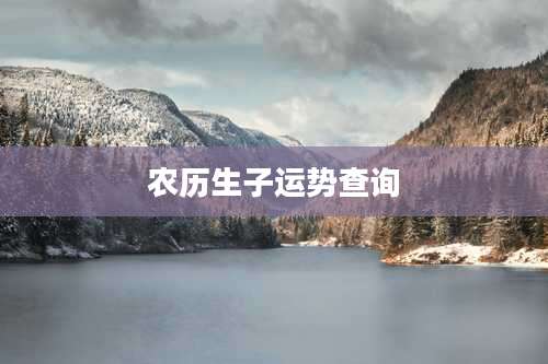 农历生子运势查询