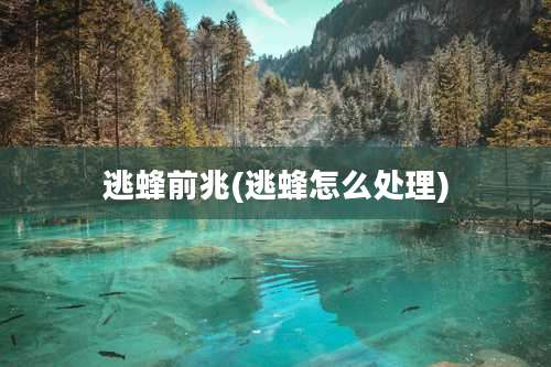 逃蜂前兆(逃蜂怎么处理)