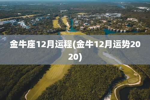 金牛座12月运程(金牛12月运势2020)