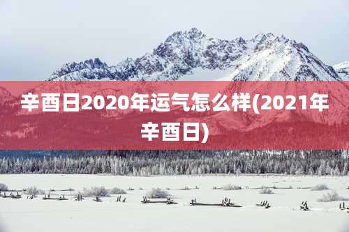 辛酉日2020年运气怎么样(2021年辛酉日)