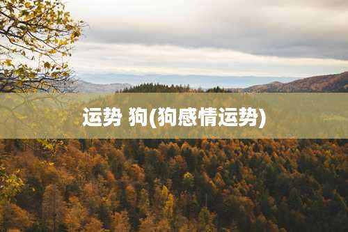 运势 狗(狗感情运势)
