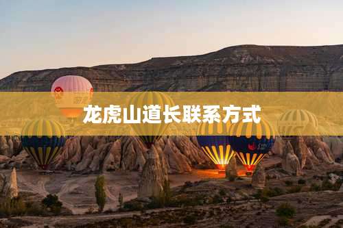 龙虎山道长联系方式