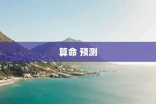 算命 预测