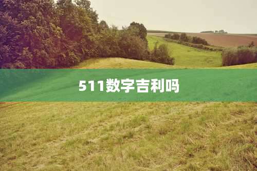 511数字吉利吗