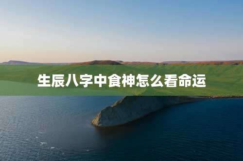 生辰八字中食神怎么看命运