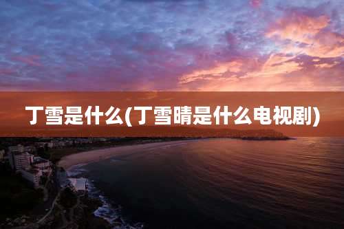 丁雪是什么(丁雪晴是什么电视剧)