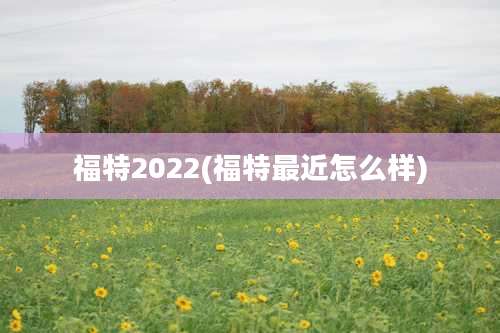 福特2022(福特最近怎么样)