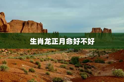 生肖龙正月命好不好