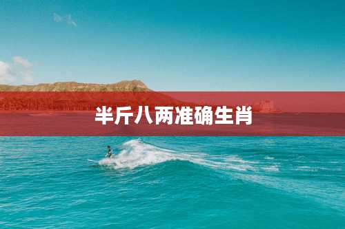 半斤八两准确生肖