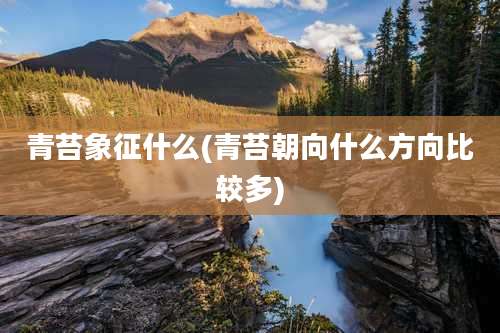 青苔象征什么(青苔朝向什么方向比较多)