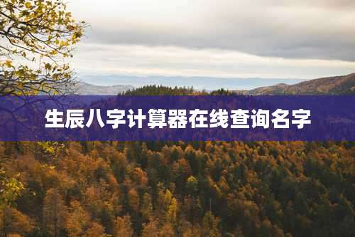 生辰八字计算器在线查询名字