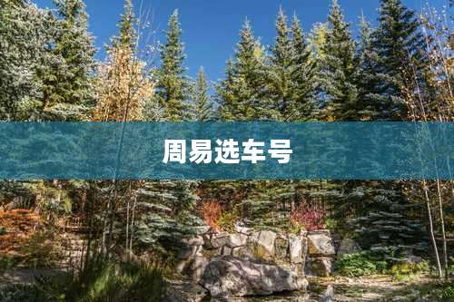 周易选车号